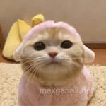 Avatar de María José Valdés